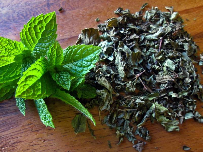 نعناع فلفلی؛ یکی از بهترین انواع دارو گیاهی برای رفع درد کیست تخمدان